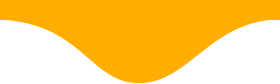 elsan